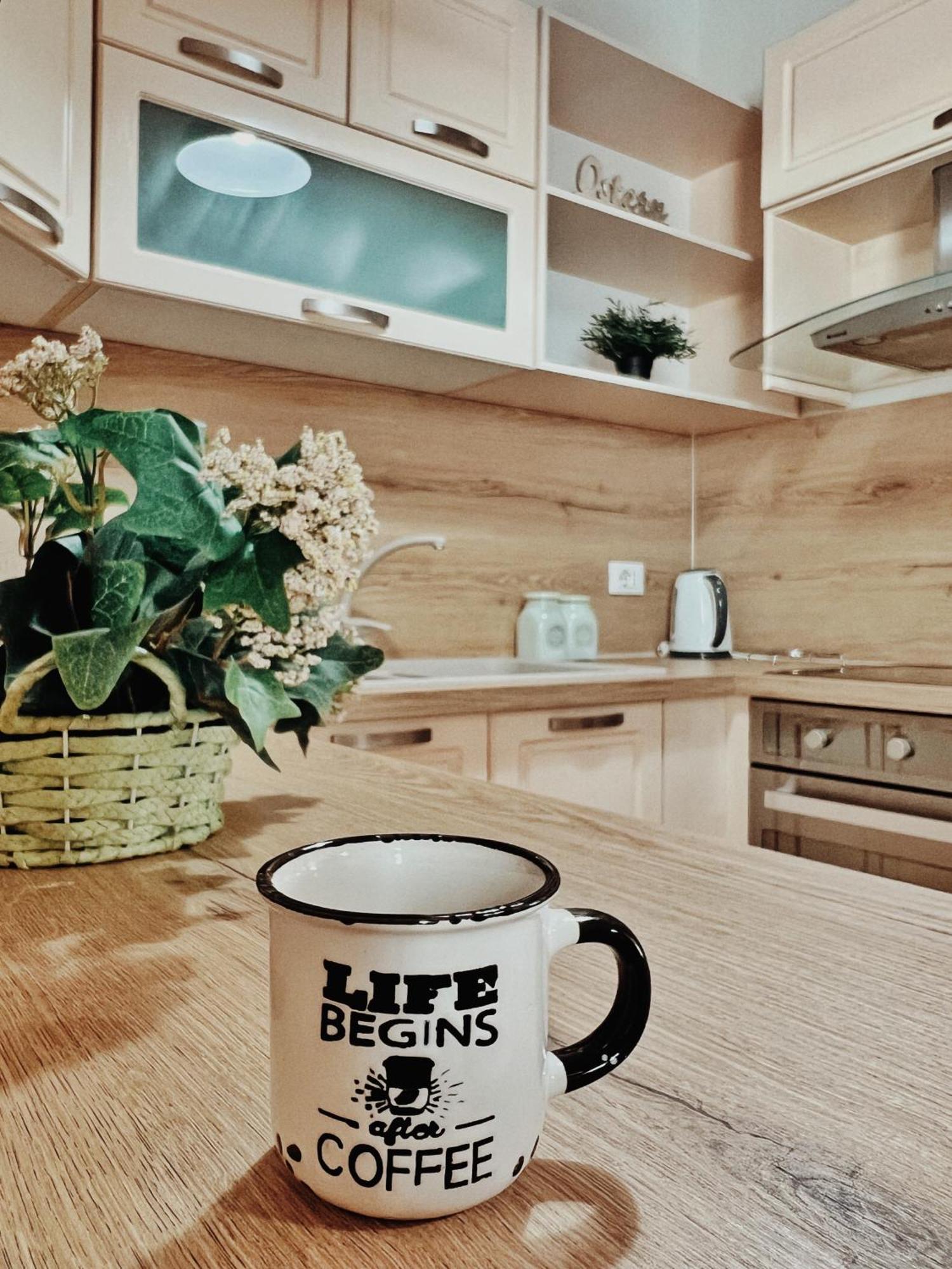 Cozy Rooftop Apartment - Your Home, Away From Home! Τίρανα Εξωτερικό φωτογραφία